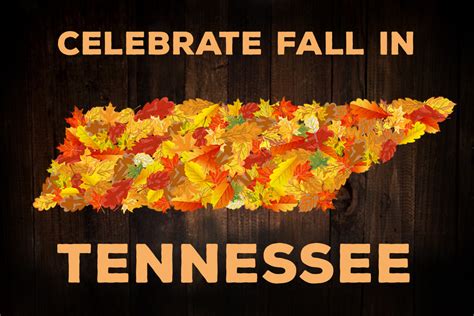 Celebrate Fall at These 15 Tennessee Festivals - WellTuned by BCBST