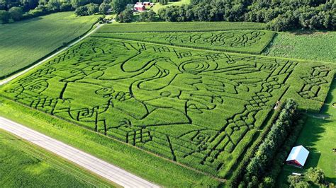 From mind to maze: The making of a corn maze - YouTube