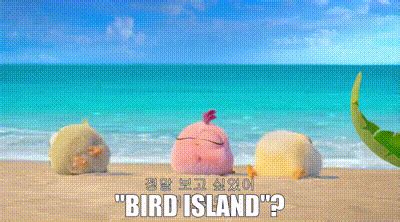 YARN | "Bird Island"? | The Angry Birds Movie 2 | Video clips by quotes | c5c3065a | 紗