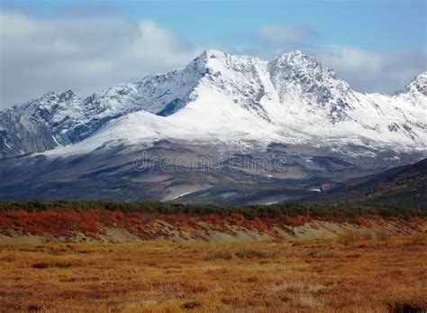 The Wildlife of Kamchatka. Kamchatka Mountains. Kamchatka Peninsula ...