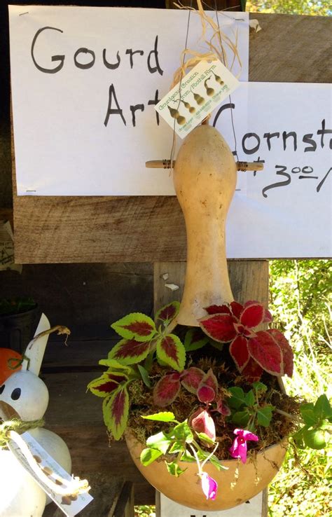 a sign that says gourd artisan next to a potted plant with flowers in it