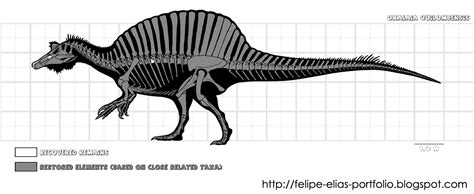 Oxalaia quilombensis vs Acrocanthosaurus atokensis