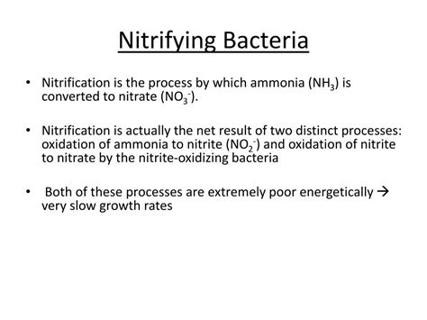 PPT - Microbiology of High Temperature Environments PowerPoint ...