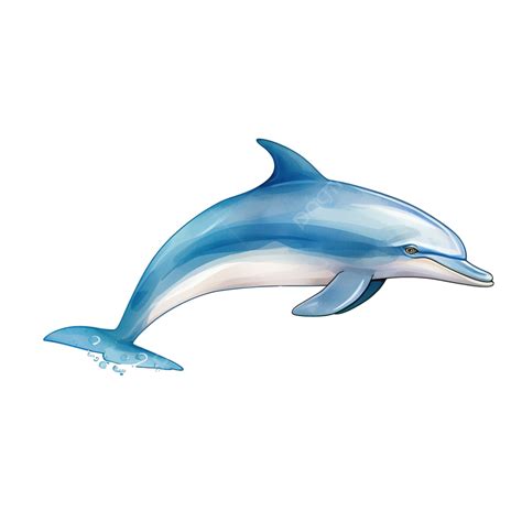 Blue Dolphin Sea Animal Illustration, Dolphin, Ocean, Jump PNG Transparent Image and Clipart for ...