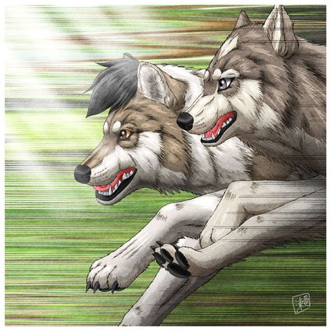 Wolf Run - Mikaboshi - by SheltieWolf on DeviantArt