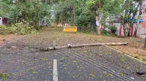 Weather Suddenly Changed Heavy Storm Accompanied By Heavy Rain In Gaurela Pendra Marwahi - Amar ...