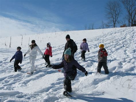 Winter Break Activities for Kids and Families | The Environmental Center