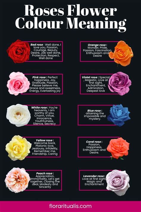 Roses Color Meaning in 2023 | Flower meanings, Rose color meanings, Blue rose meaning