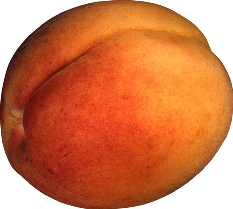 Peach Transparent Images - PNG Play