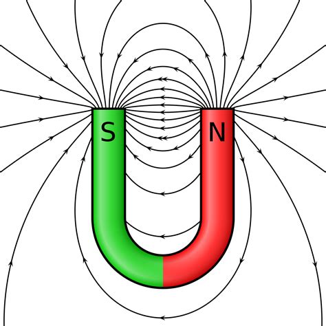 Force Diagram Car Magnet