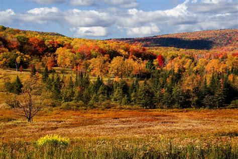 Canaan Valley Fall Meadow - Canaan Valley State Park, WV | Valley falls ...