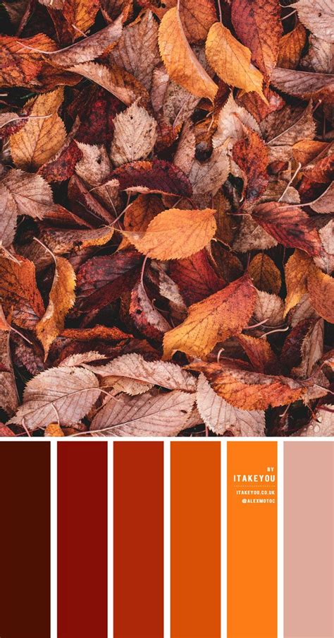 Rust Color Scheme – Color Palette #35 | Rust color schemes, Orange color palettes, Orange palette