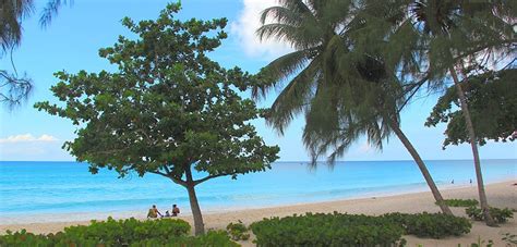 Avid Traveller Shares Barbados Tips and Insights - Barbados.org BlogBarbados.org Blog