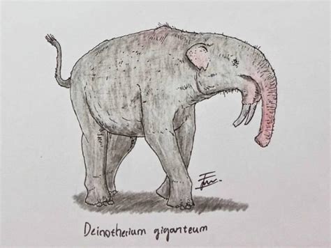 Deinotherium giganteum by GabutBanget on DeviantArt