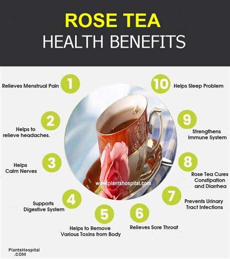 11 Best Health Benefits Of Rose Tea: Uses, Side Effects And Warnings