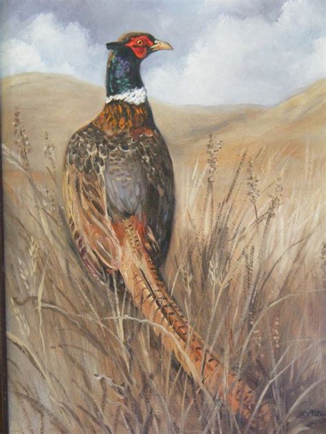 Pheasant oil painting by Patricia BaehrRoss by HaseldenCollection, $125.00 | Wildlife art, Bird ...