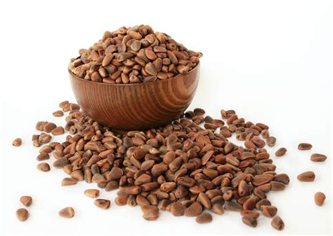 Bulk Nut Supplier Sourcing – the greater goods