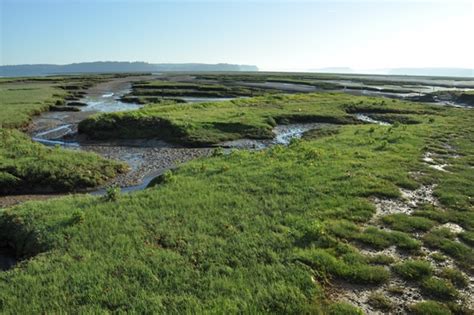 Nisqually National Wildlife Refuge - Hiking Trails - Map