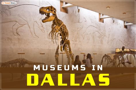 Top Museums in Dallas that You Can Visit on a Budget