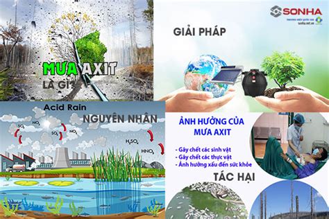 Mưa axit là gì? Nguyên nhân, tác hại, lợi ích, giải pháp? - Su Pham Yen Bai