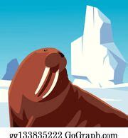 7 Walrus Resting Iceberg North Pole Animal Character Clip Art | Royalty Free - GoGraph