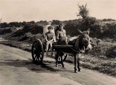 Ireland, the people | Ireland history, Irish celtic, Irish history