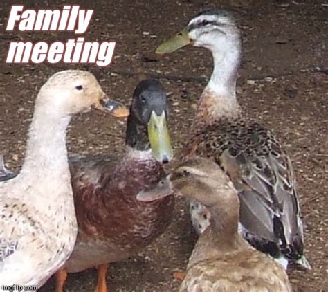 Family Meeting Meme - Family Meeting Meme Picture Webfail Fail Pictures And Fail Videos - Easily ...