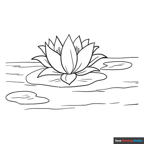 Lotus Flower Coloring Page | Easy Drawing Guides