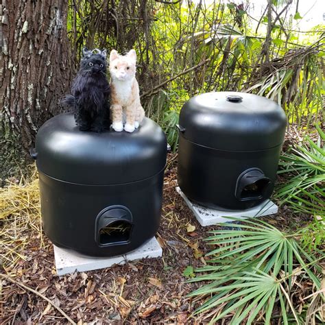 How To Build A Feral Cat Shelter - Cole & Marmalade