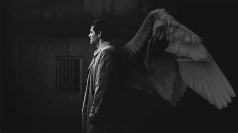 Fallen Angel Wings Tumblr