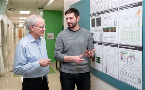 St. Jude scientists create more efficient CAR immunotherapies using a molecular anchor - St ...