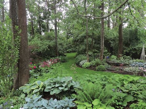 A Woodland Garden Design - FineGardening | Wooded backyard landscape, Woodland garden, Shade ...