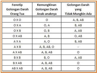 BIOLOGI GONZAGA: GOLONGAN DARAH