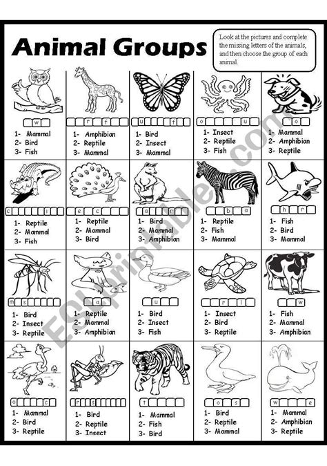 Animal Groups-2 - ESL worksheet by Amna 107 | Animal groups, Homeschool ...