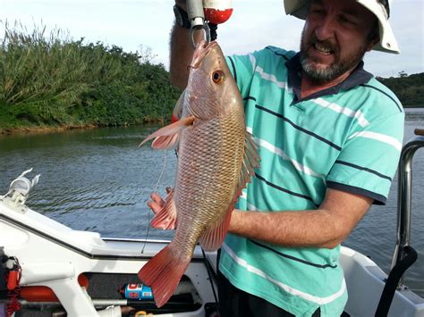 The 2021 Rock salmon season is upon us as the KZN estuaries clean up.