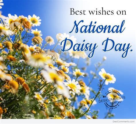 Best Wishes On National Daisy Day - Desi Comments