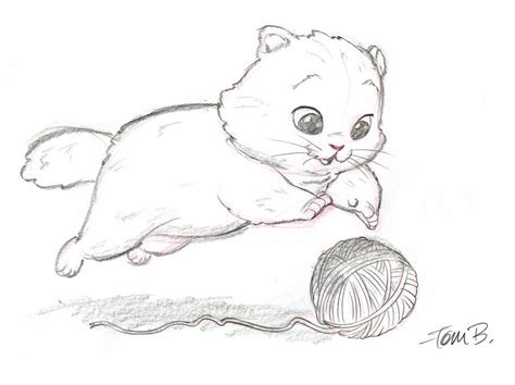 Big fluffy kitten by *tombancroft on deviantART | Kitten drawing, Cat ...