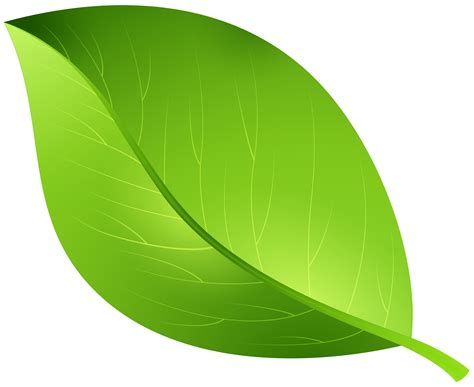 Cartoon - Green Leaf Transparent PNG Clip Art Image png download - 8000*6540 - Free Transparent ...