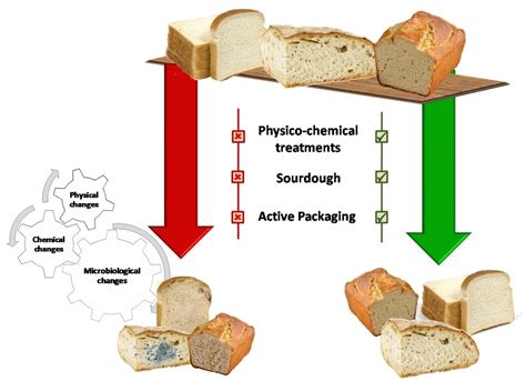 Fermentation | Free Full-Text | Strategies to Extend Bread and GF Bread Shelf-Life: From ...