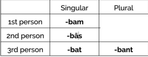 latin grammar for final Flashcards | Quizlet