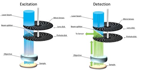 Super Resolution Spinning Disk Confocal Microscopy