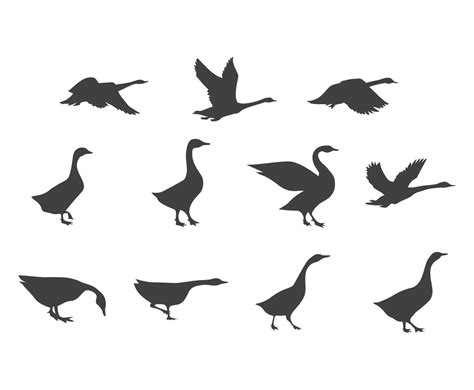 Vector Set Of Swan Silhouettes Vector Art & Graphics | freevector.com