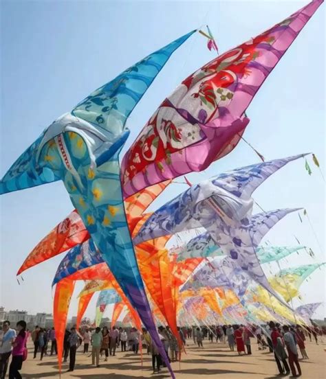 Chinese Kite Festival : Marvel in the Skies (2024)