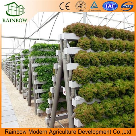 Commercial Tower Hydroponics System Greenhouse for Agricultural Growing - China Green House and ...