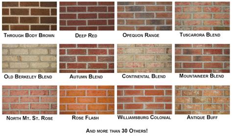 Brick Vector Picture: Brick Veneers