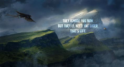 Nature, Landscape, Birds, Animals, Eagle, Quote, Inspirational ...