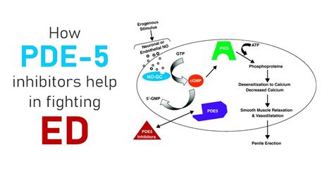 How PDE-5 Inhibitors Help In Fighting ED? - Powpills