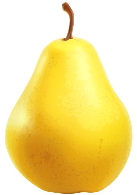 Pear Png Clip Art Pear Transparent Png Image Cliparts Free | Images and Photos finder