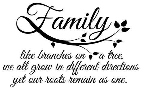 Family Roots Wall Quotes Decal - Contemporary - Wall Decals - by Dana Decals