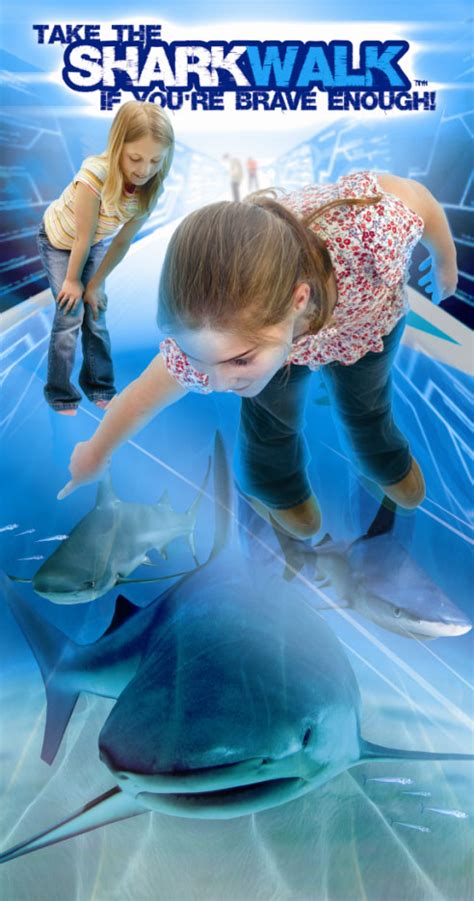 The London Aquarium Tickets - Eventim